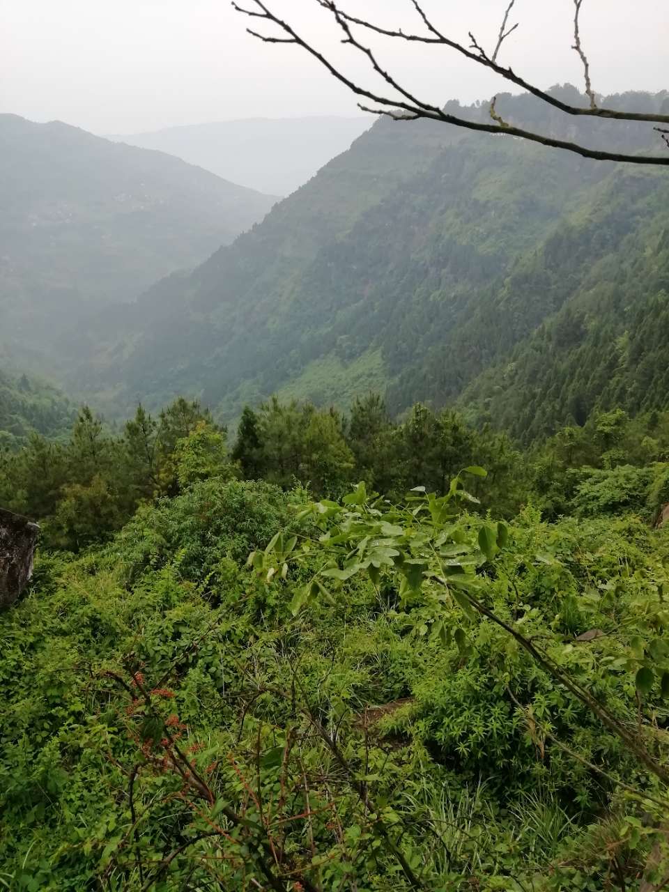 开州大德仁和七彩观光园，一个集自然风景与人造景观于一体的休闲地！-半岛官方下载地址(图6)