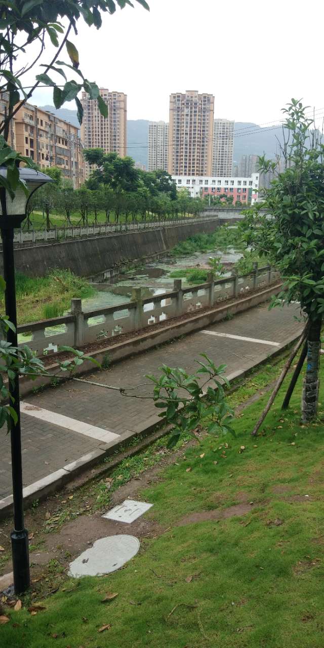 ‘泛亚电竞官方入口’开州绵绵细雨的初夏，不冷不热，正是睡眠的好时节!(图4)