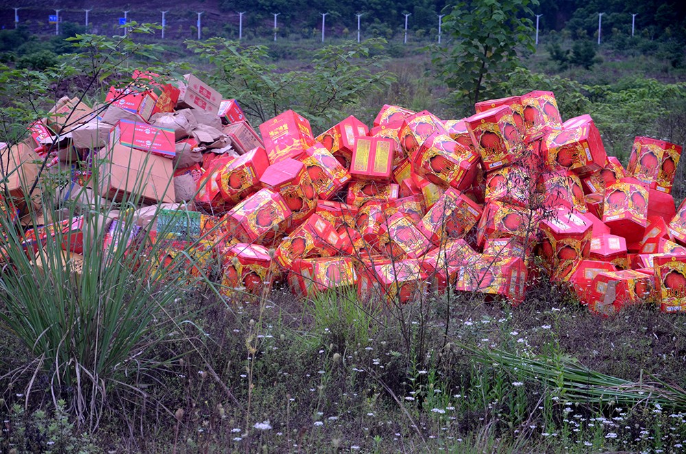 开州6000余件非法烟花爆竹齐爆炸,被集中销毁!_半岛官方下载地址(图2)