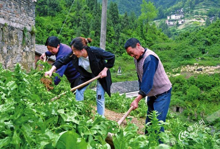 ag九游会登录j9入口_丈夫意外离世，妻子邓承平兑现承诺 “永远在这个家“(图2)