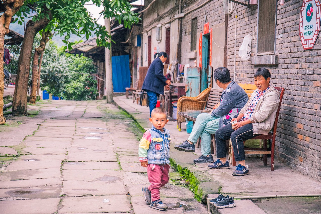 重庆惊现100000㎡格桑花海，人少景美还免费！这才是六月...“泛亚电竞官方入口”(图30)