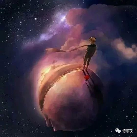 80仿佛所有的星星都开满了鲜花0.jpg