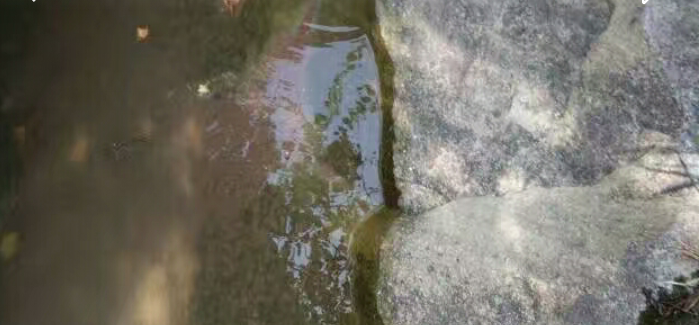 20190627_55856_1561612254598.png