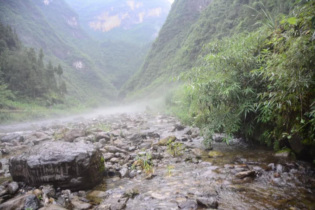 在关面小园村拍到仙境般的美景，还有清凉的气温‘雷火电竞在线登录官网’(图4)