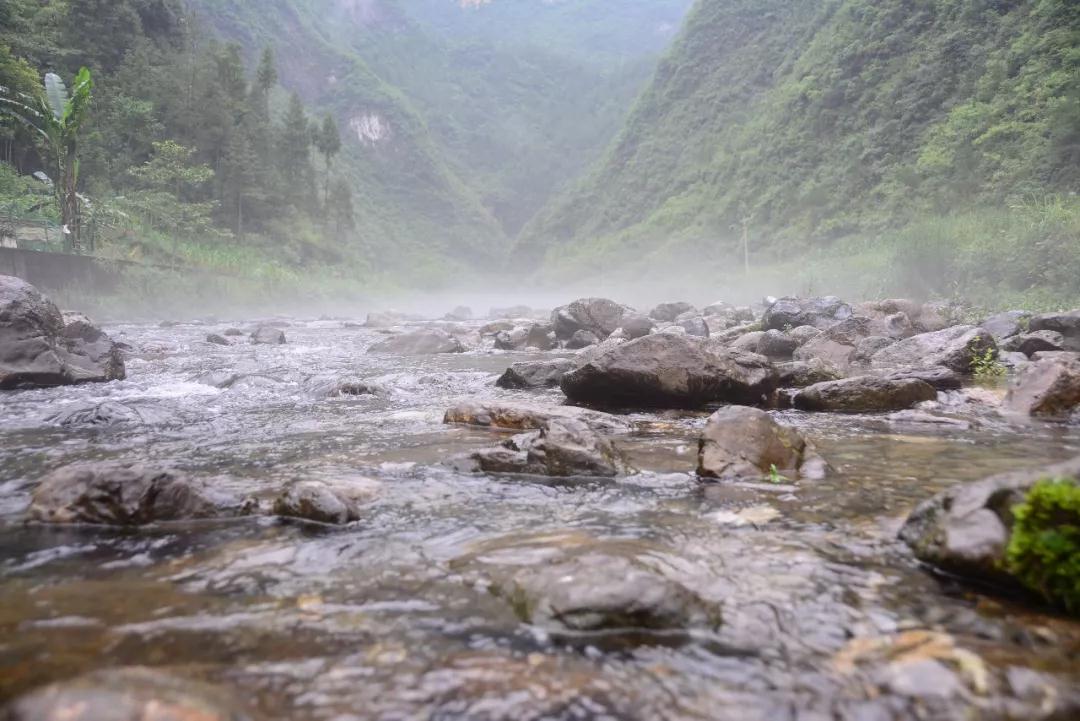 在关面小园村拍到仙境般的美景，还有清凉的气温|雷火电竞在线登录官网(图6)