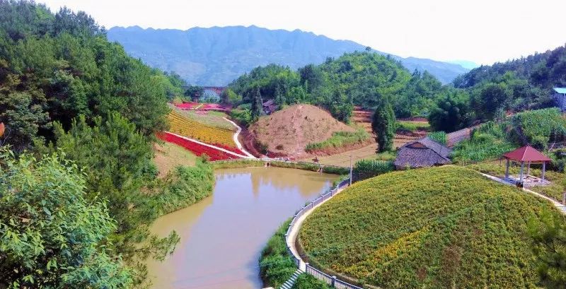 年平均气温22℃，距城区33公里！开州这里花开满山，还可以露营烧烤，一定要去！|ag九游会(图6)