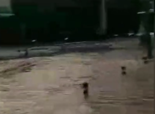 【九游会j9网站首页】昨天暴雨来袭，开州义和洪水侵入！（附视频）(图5)