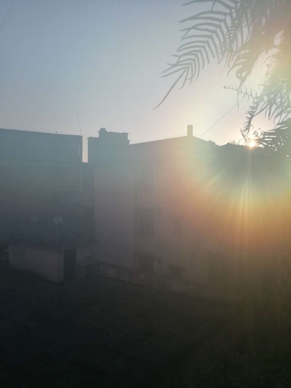 20190803_5665_1564792240398.jpg