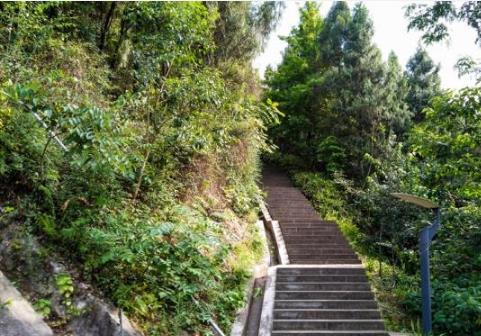 银河国际官网app下载_这个公园是开州最难爬的公园，有“千步”石梯，你去过吗？(图9)