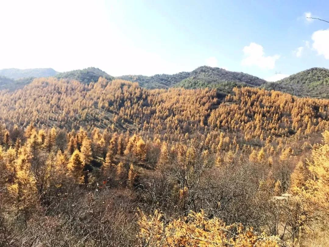 雪宝山的秋天太美了！恍如走进了现实版的“童话世界”【半岛官方下载地址】(图14)