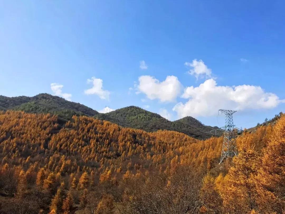 雷火电竞在线登录官网-雪宝山的秋天太美了！恍如走进了现实版的“童话世界”(图15)