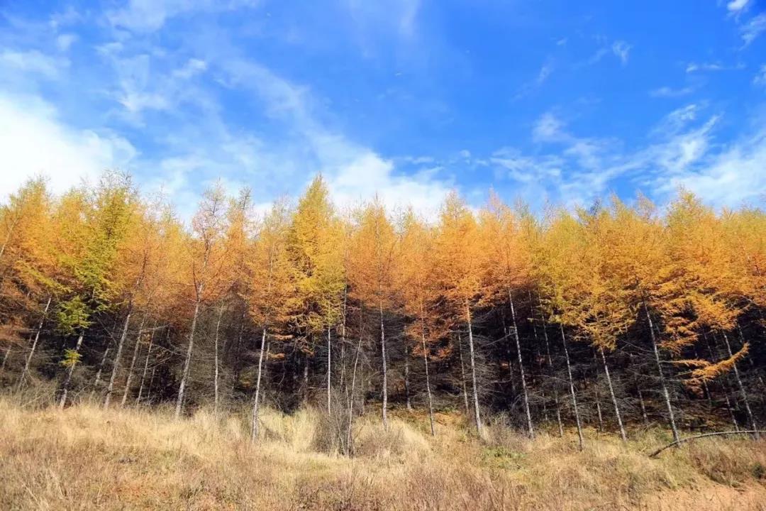 雪宝山的秋天太美了！恍如走进了现实版的“童话世界”【半岛官方下载地址】(图21)