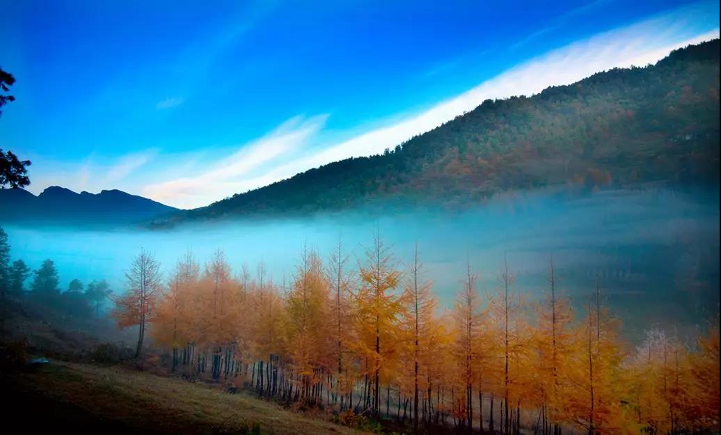 雪宝山的秋天太美了！恍如走进了现实版的“童话世界”【半岛官方下载地址】(图24)