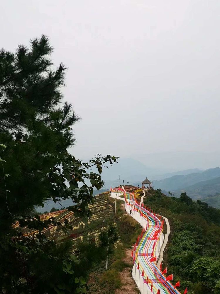 花满山岗1.jpg