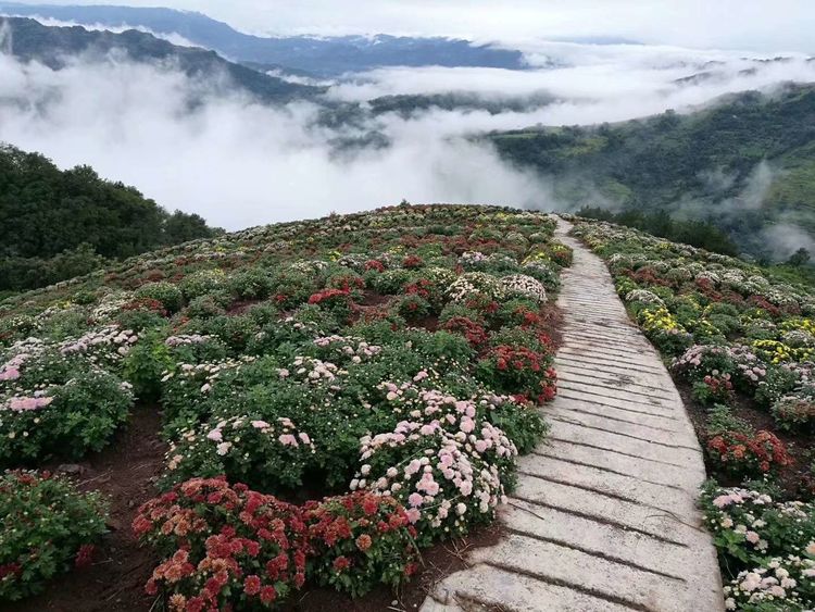 花满山岗7.jpg