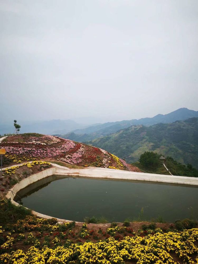 花满山岗13.jpg