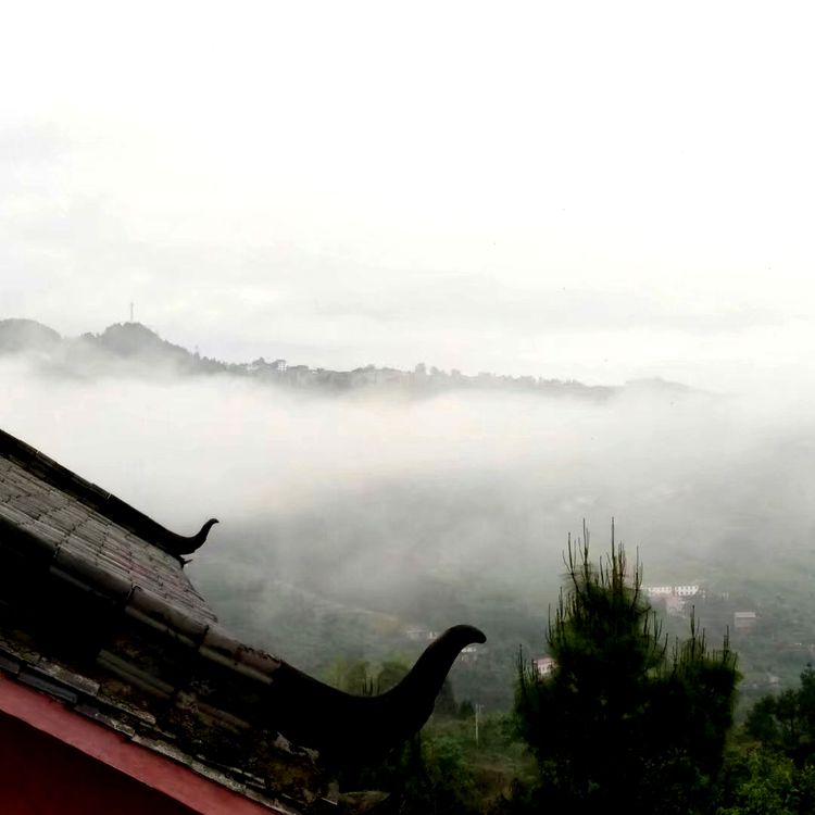 太和庙飞檐一角.jpg