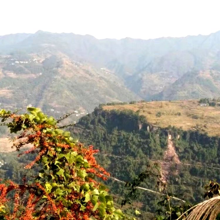 太和寨上观远山.jpg