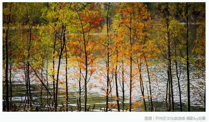 半岛官方下载入口-开州汉丰湖的秋季，每一帧都让你心动(图9)