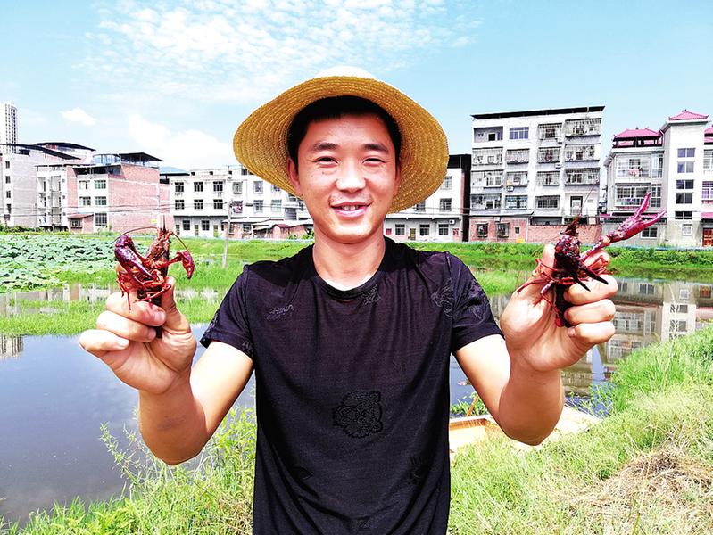 “环球体育app在线登录”开州小伙“藕虾混养”，把废水塘变成了“聚宝盆”！