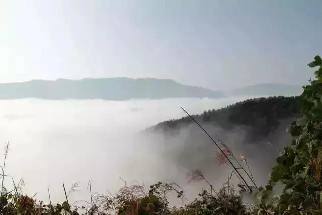 初冬季节，开州这些地方的云雾太美了，赶紧去看吧！错过就没了！|泛亚电竞官网(图35)