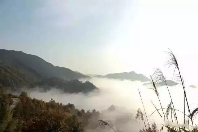 【半岛官网App下载】初冬季节，开州这些地方的云雾太美了，赶紧去看吧！错过就没了！(图34)