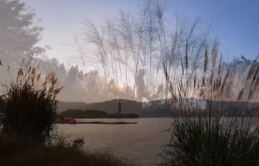 初冬的汉丰湖，芦苇随风飘动，美得好像一幅画！‘环球体育官网网站入口’(图6)