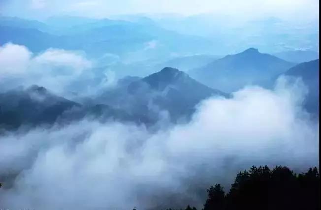 ‘半岛官方下载地址’摘鲜果、吃美食、赏雪景...让我们沿着开州“一路向南”，好耍惨了！(图29)