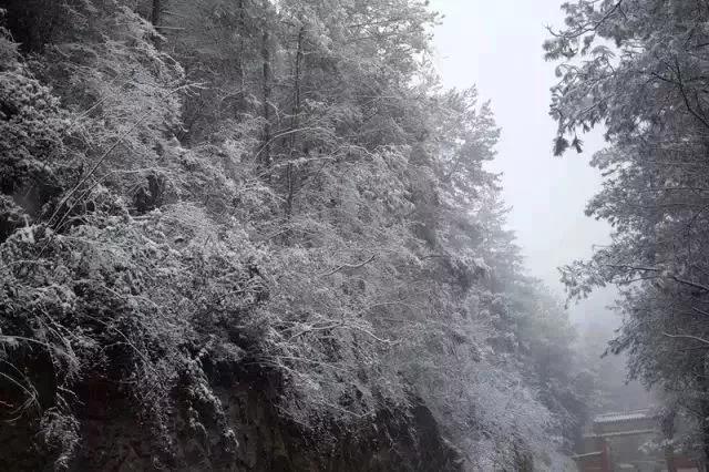 ‘半岛官方下载地址’摘鲜果、吃美食、赏雪景...让我们沿着开州“一路向南”，好耍惨了！(图31)