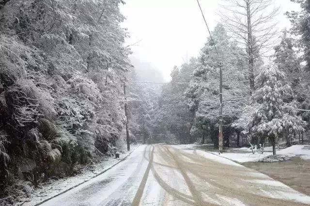 “半岛官网App下载”摘鲜果、吃美食、赏雪景...让我们沿着开州“一路向南”，好耍惨了！(图32)