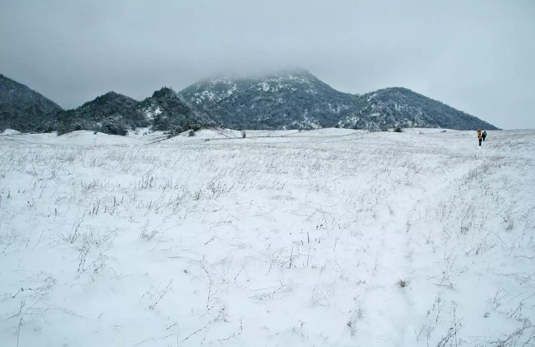 大雪过后的雪宝山，雾凇云海，十里冰封，美不胜收！|pg娱乐电子游戏官网APP下载(图1)