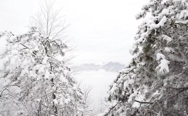 大雪过后的雪宝山，雾凇云海，十里冰封，美不胜收！|pg娱乐电子游戏官网APP下载(图3)