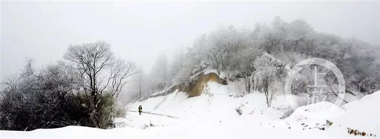 开州雪宝山下雪了！快去与皑皑白雪来场＂约会＂吧_ag九游会登录j9入口(图7)