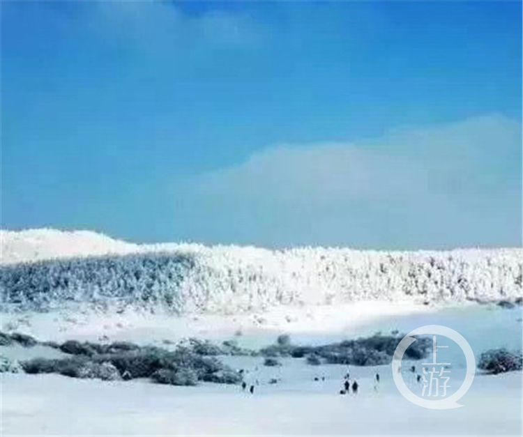 开州雪宝山下雪了！快去与皑皑白雪来场＂约会＂吧_ag九游会登录j9入口(图3)