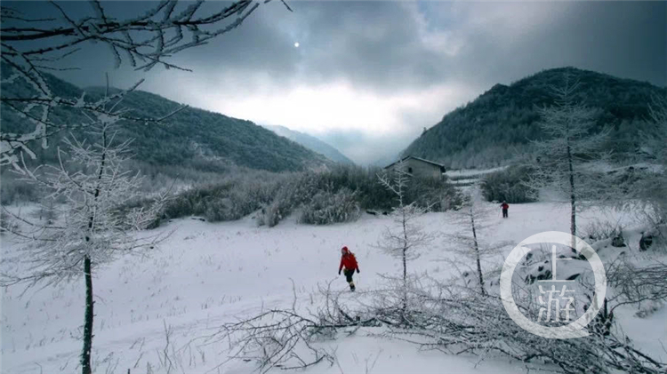 开州雪宝山下雪了！快去与皑皑白雪来场＂约会＂吧_ag九游会登录j9入口(图4)