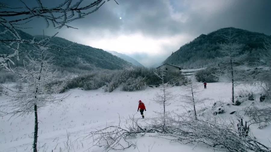 今天小寒，到处都下雪了，来一下欣赏开州这些地方美丽的雪景图吧！：Kaiyun官方网(图9)