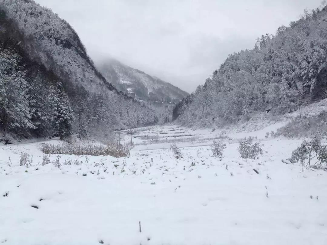 今天小寒，到处都下雪了，来一下欣赏开州这些地方美丽的雪景图吧！：Kaiyun官方网(图21)