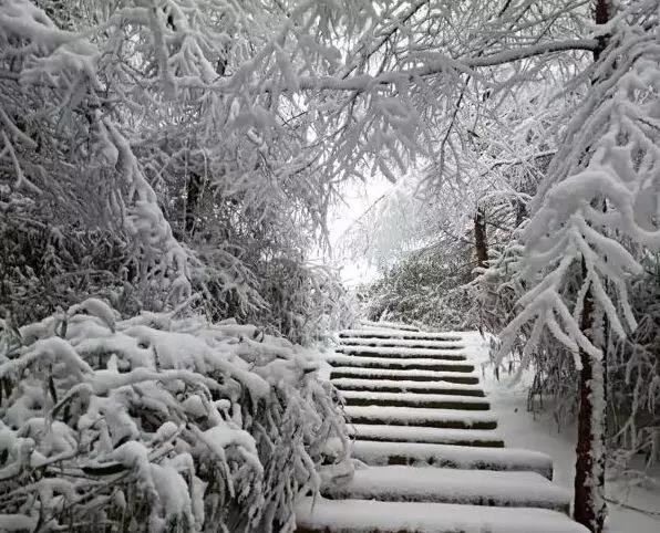 今天小寒，到处都下雪了，来一下欣赏开州这些地方美丽的雪景图吧！：Kaiyun官方网(图20)