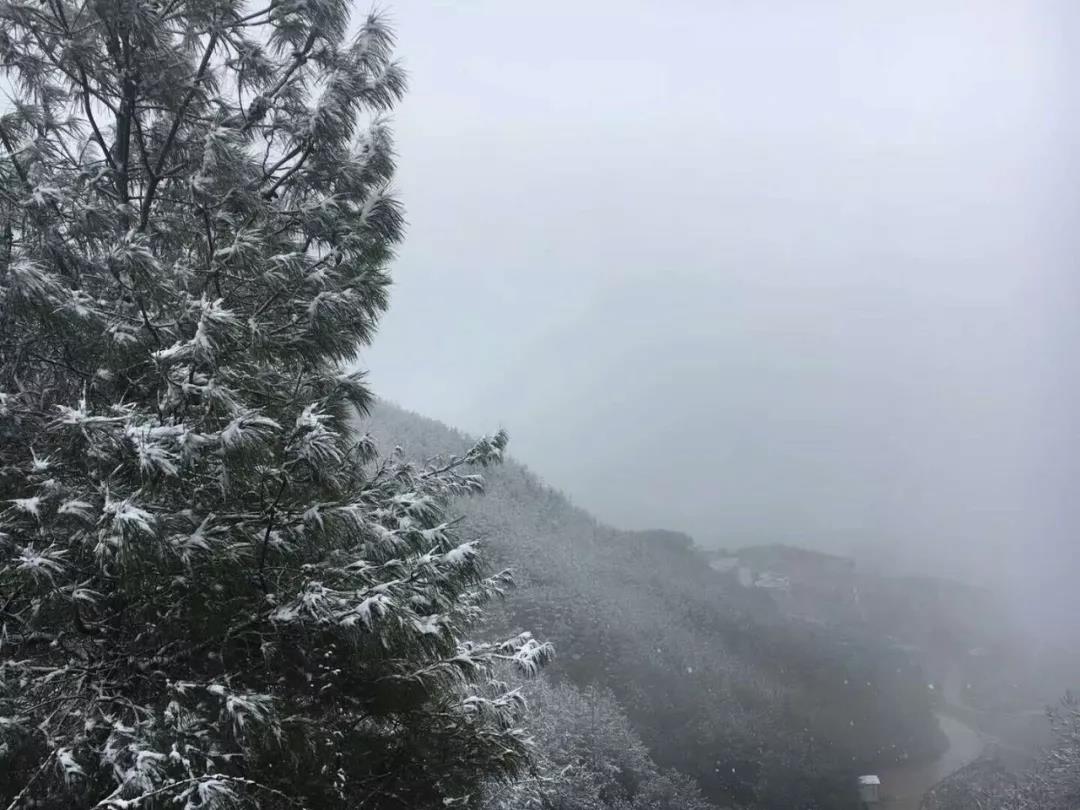 今天小寒，到处都下雪了，来一下欣赏开州这些地方美丽的雪景图吧！：Kaiyun官方网(图23)