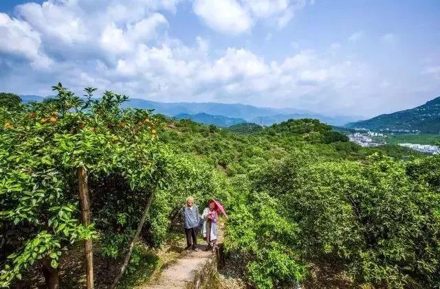 【现在不约】待到春暖花开，病毒消去，一起来开州赏花“九游会ag真人官网”(图15)