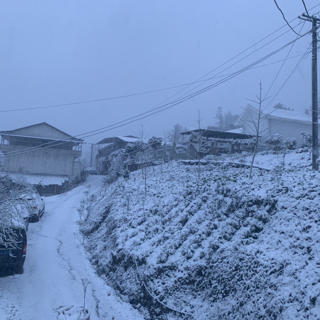 今天下雪了！开州雪景大汇集！-半岛官方下载地址(图6)