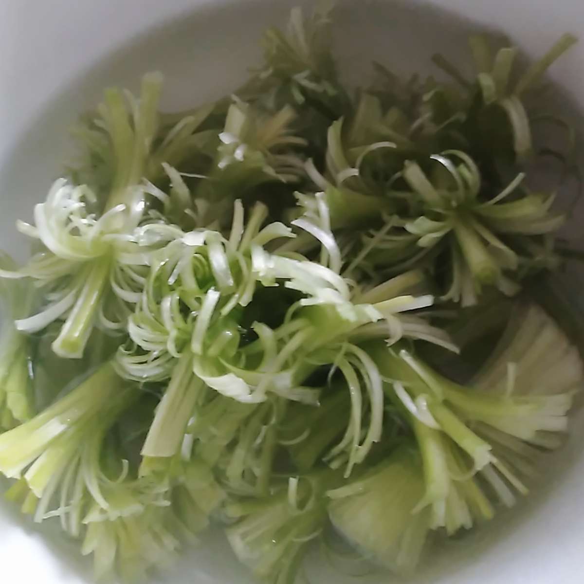 你还记得这个味道吗开州蒜花