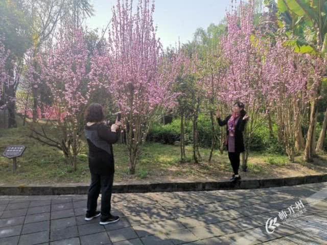 “雷火电竞在线登录官网”开州区委宣传部长带头“打卡”旅游消费(图4)