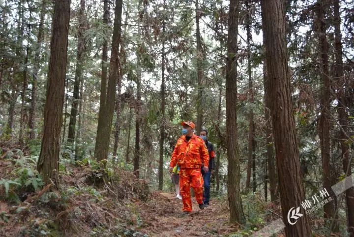 泛亚电竞官方入口：预防森林火灾！开州在40个乡镇设立森林防火安全检查站。(图4)