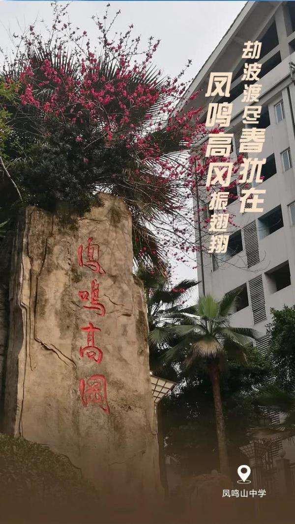 【kaiyun】重庆开学集结号吹响，校园己繁花似锦，欢迎学子“满血”归校(图4)