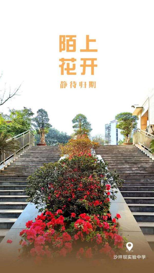 【kaiyun】重庆开学集结号吹响，校园己繁花似锦，欢迎学子“满血”归校(图9)