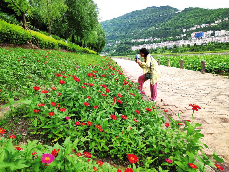 走！去赏花！汉丰湖边，5万平方米草花、观赏草长好了！_hq体育官方网站