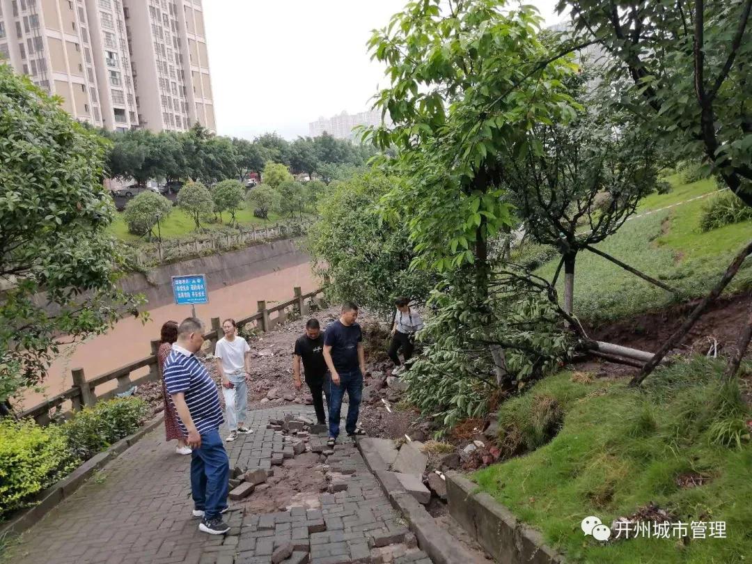 开州“6.11暴雨”后遗症：树木倒伏，车辆受损，护栏被毁..