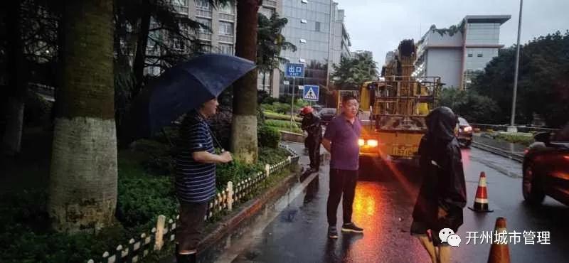 开州“6.11暴雨”后遗症：树木倒伏，车辆受损，护栏被毁...：雷火电竞在线登录官网(图4)