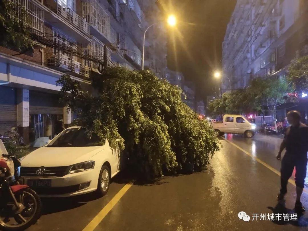 开州“6.11暴雨”后遗症：树木倒伏，车辆受损，护栏被毁...-雷火电竞在线登录官网(图8)